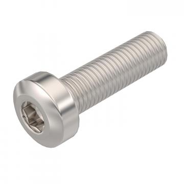 Platkopschroef voor windbeschermingsplaat