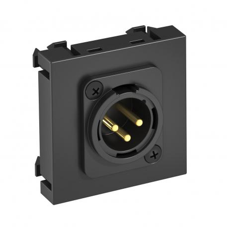 XLR-aansluiting, 1 module, rechte uitlaat, stekker 3-polig, met schroefverbinding, zwartgrijs recht |  | XLR | Zwartgrijs; RAL 7021