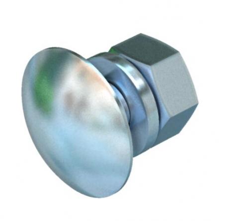 Platkopbout met moer en sluitring F 25 |  | staal | vuurverzinkt